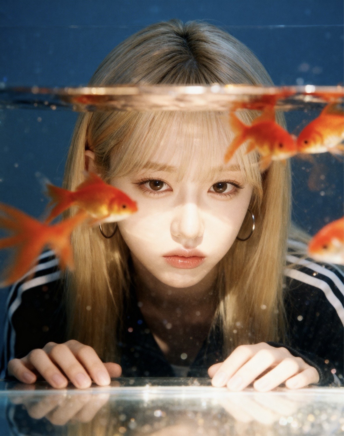 응애ㅐ