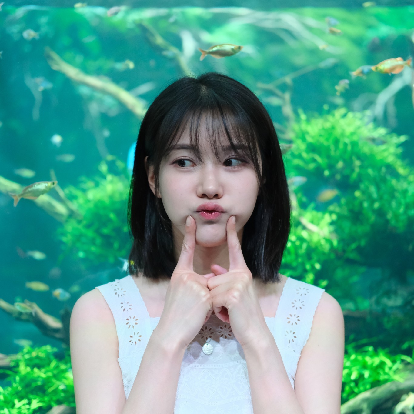 한번 더 볼까?