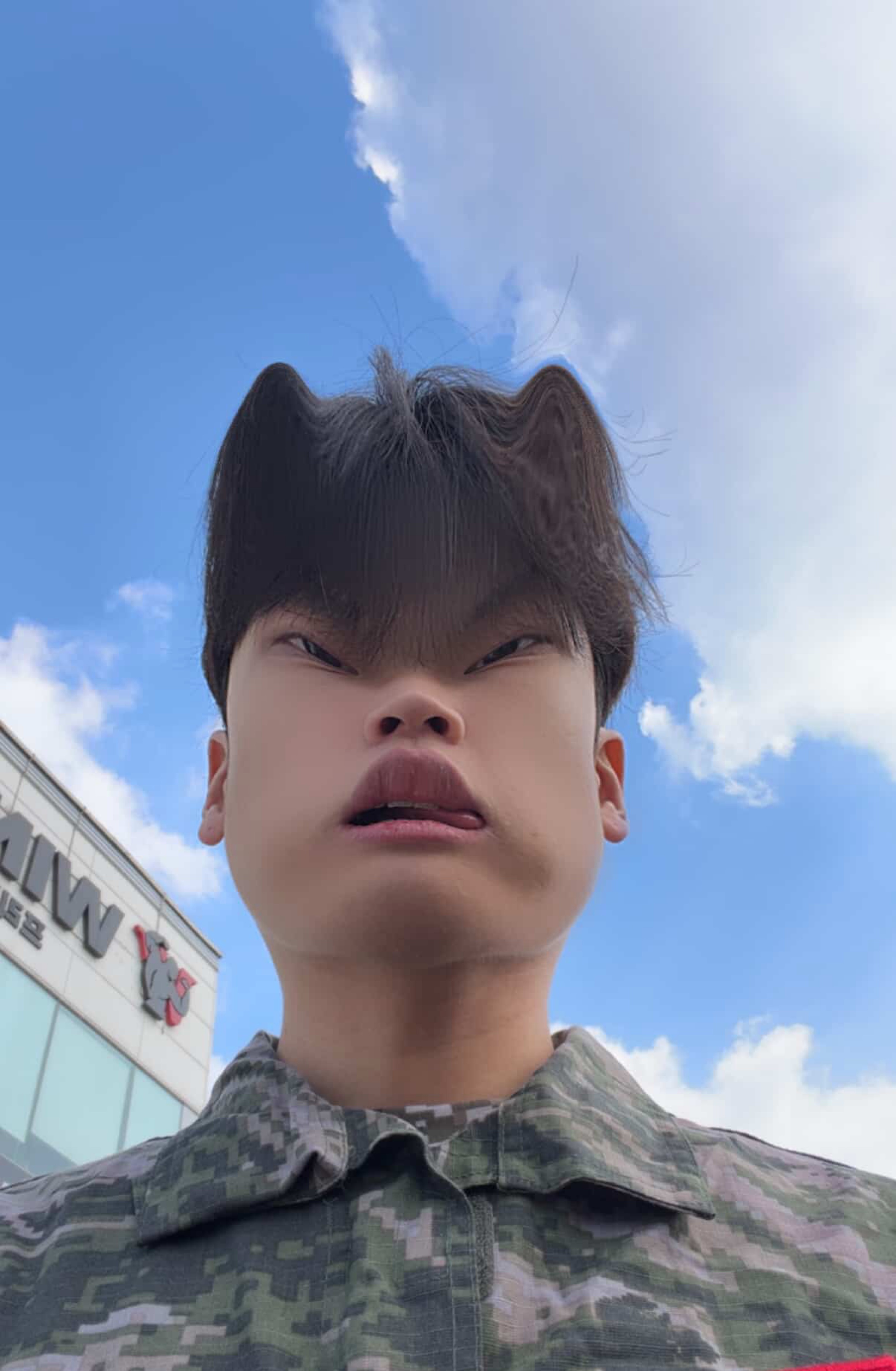 멘헤라정신병