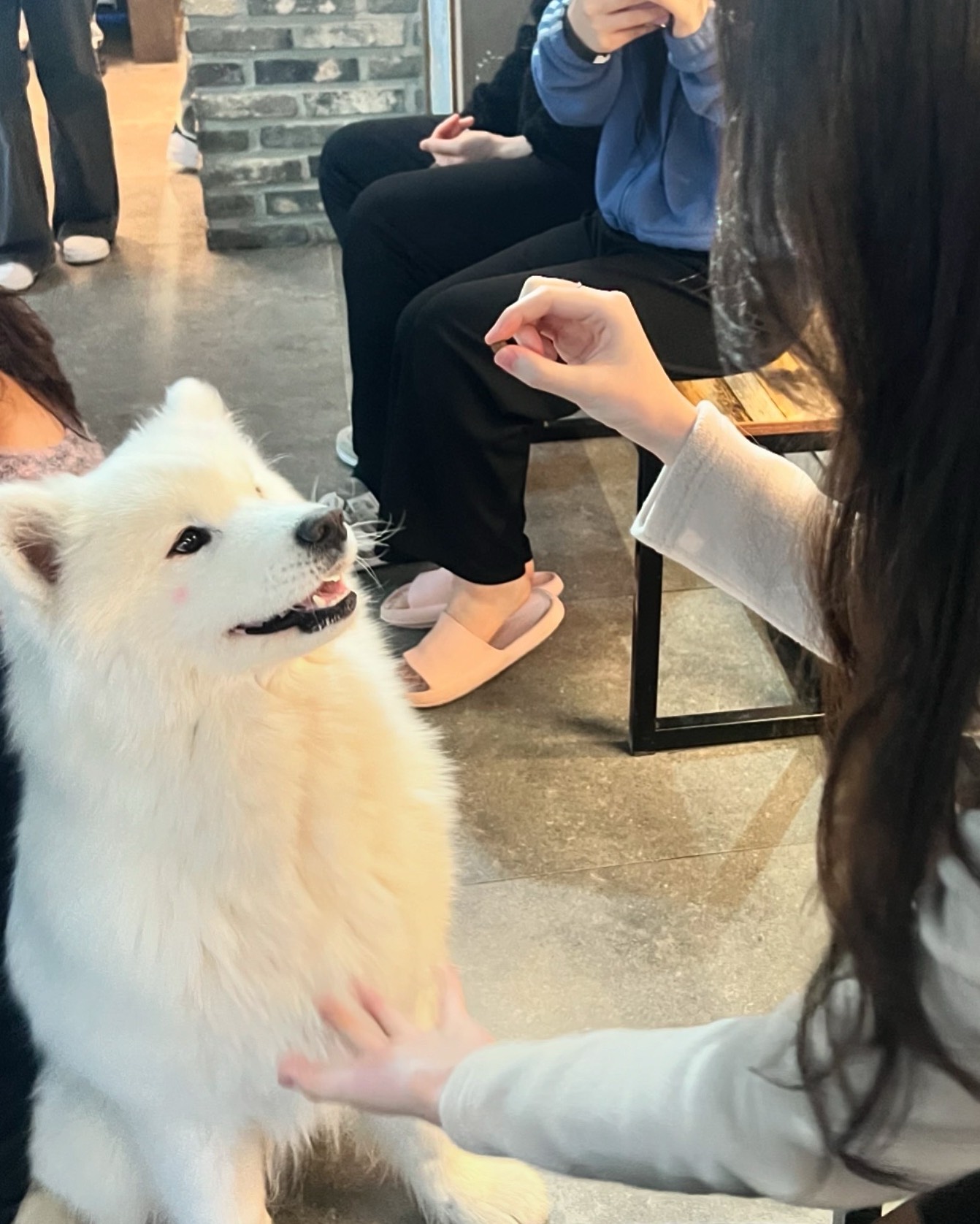 ❝ 스푼 야 ~ 호 ❞ ,