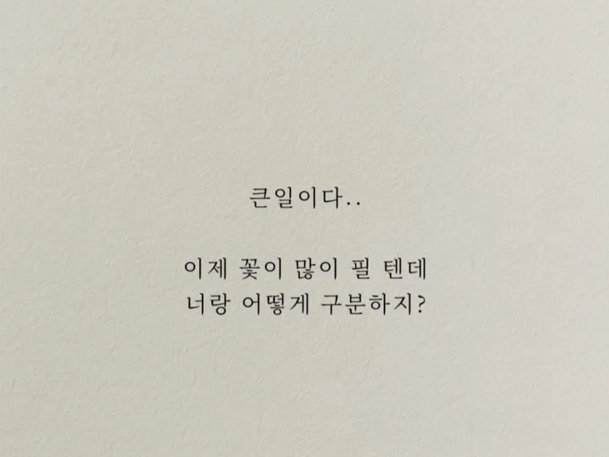 허접 중미성