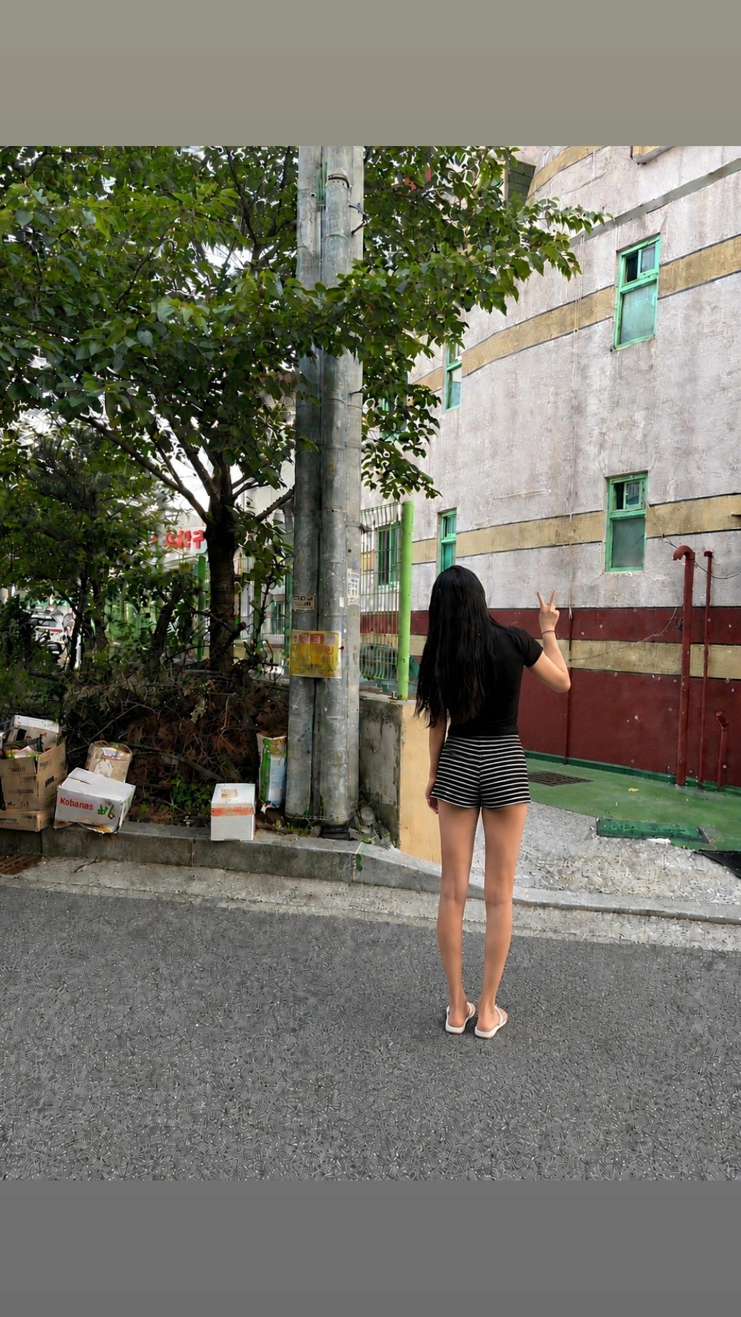 ㅎㅇ루