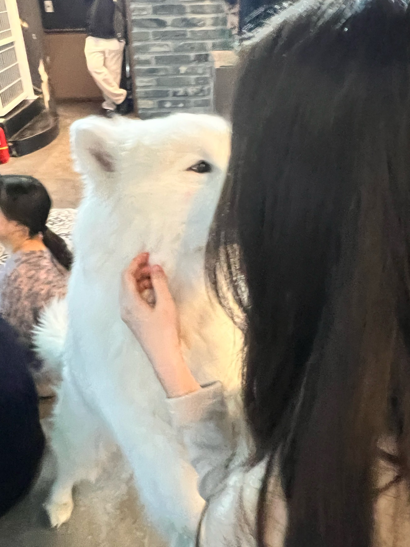 잘 재워요 ,