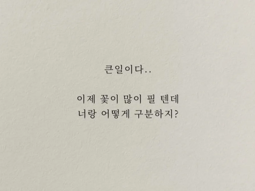 허접 중미성