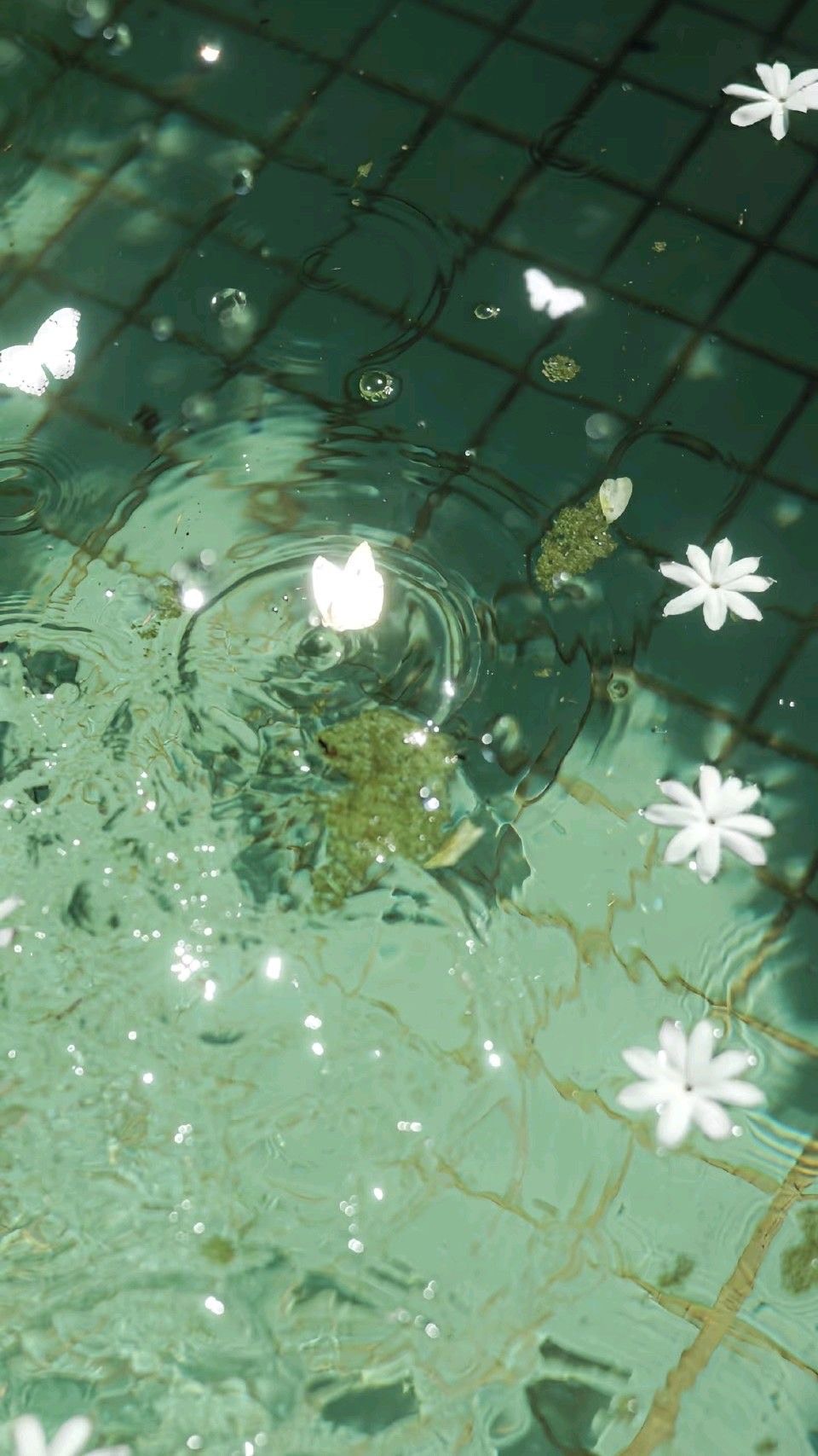 부끄러운데