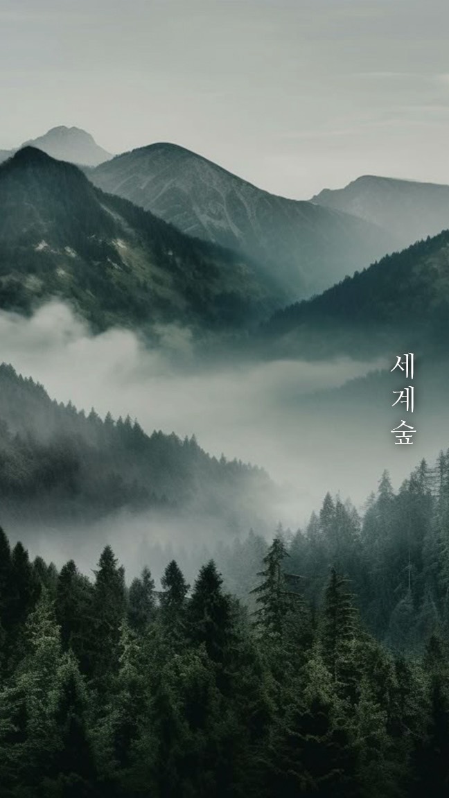 묘운☁️°⊹ 뜻밖의 서점📖