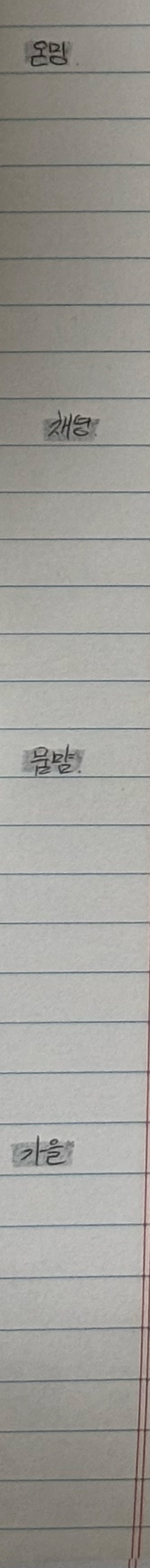 맞아요, 입대에요 🪖