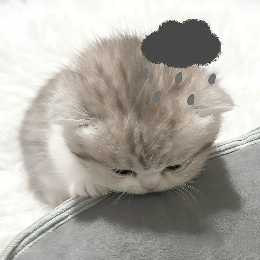 사랑해