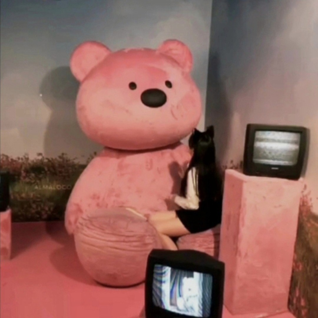 잠은 안와