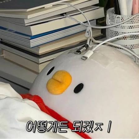 라콜) 할게 없네