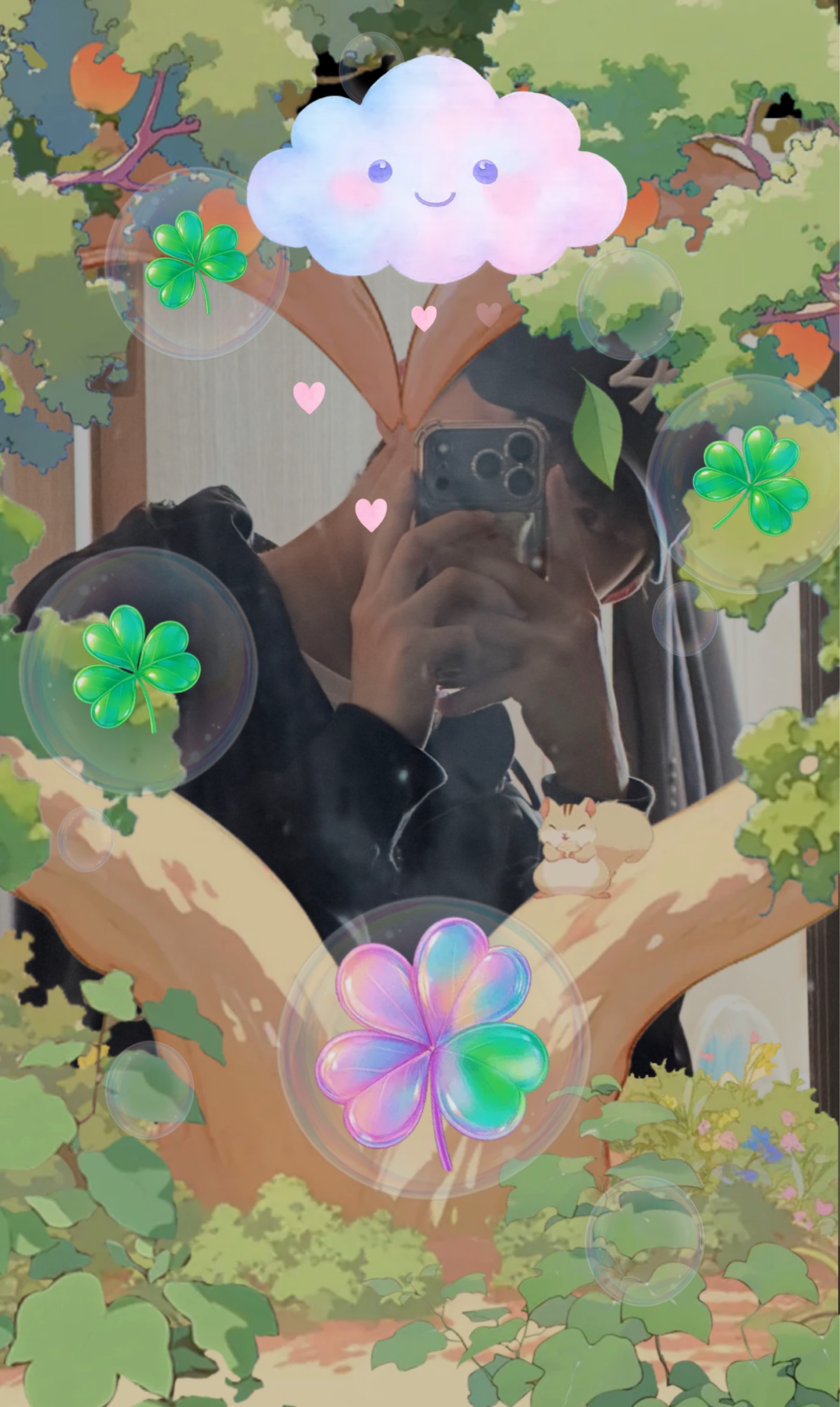 잔잔한 아침