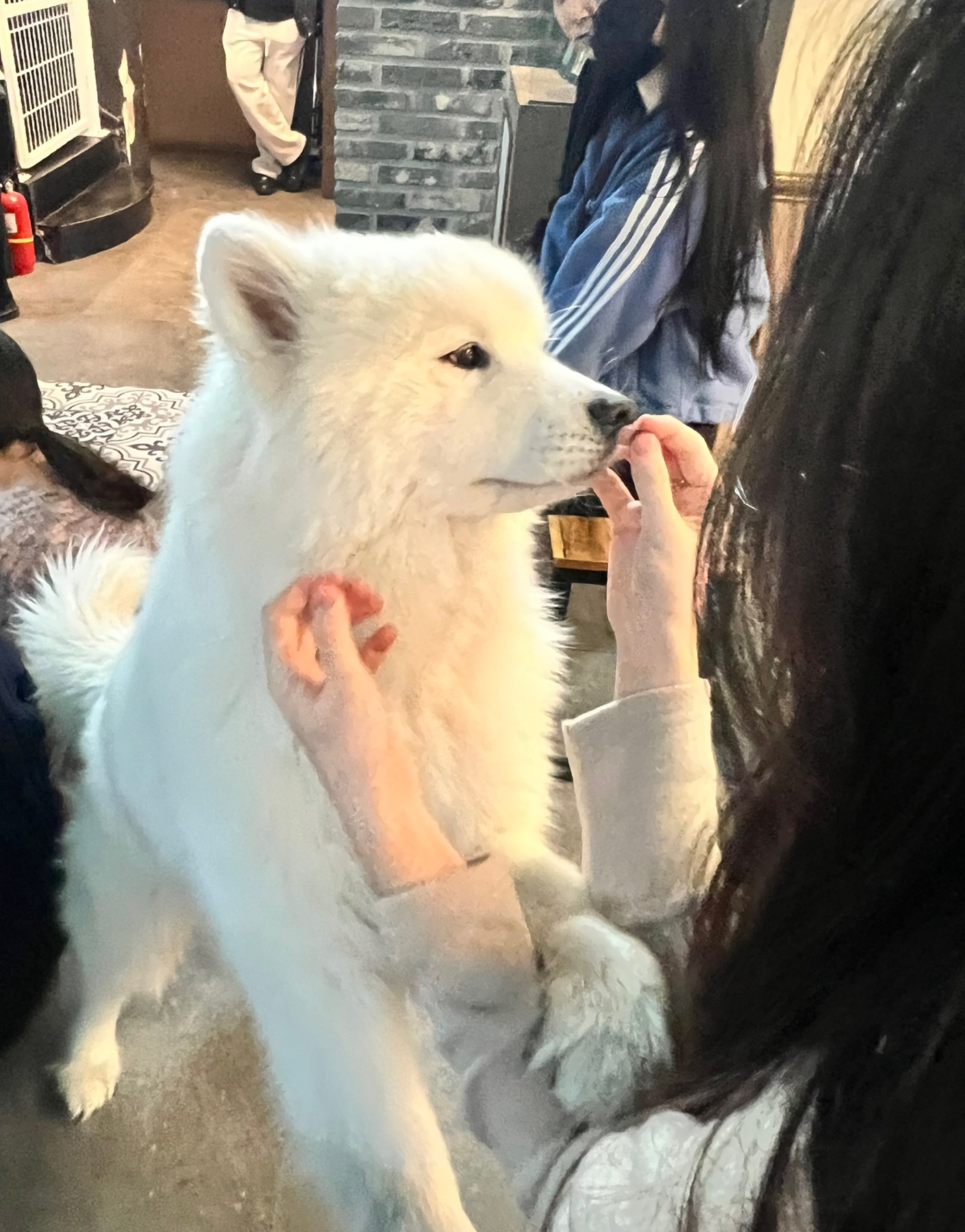 조은 아침 ,