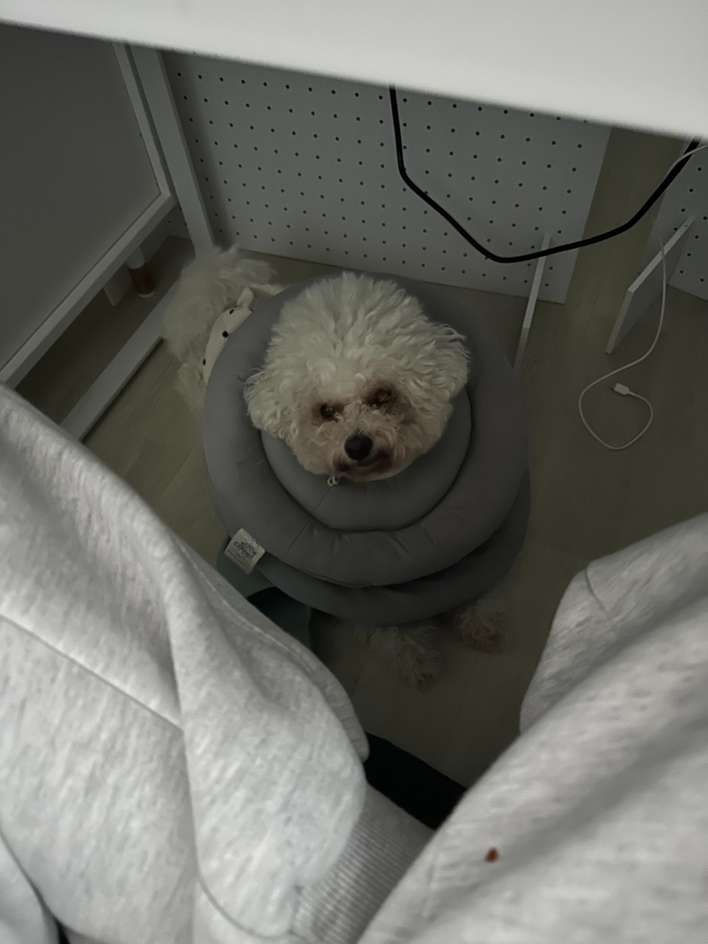 이 나이에 내가 너 만나면