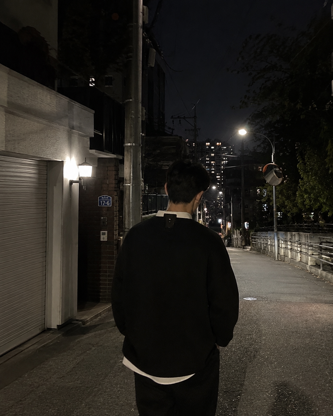 24시간 관찰 예능, 나 혼자 산다
