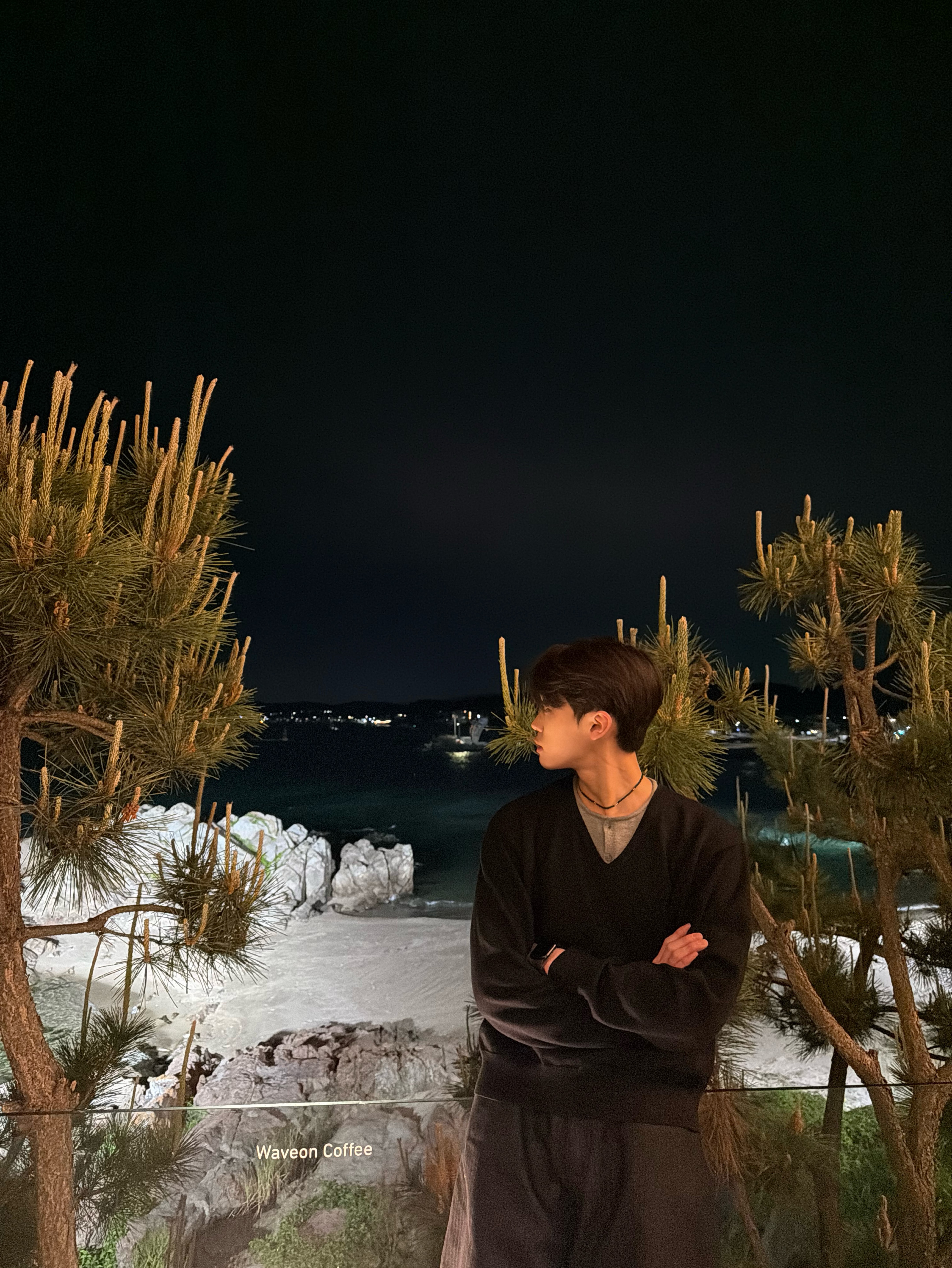 멘헤라정신병