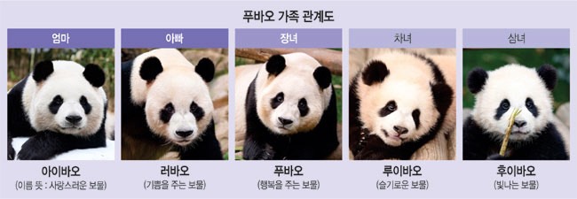 아직 놀고싶잖아요