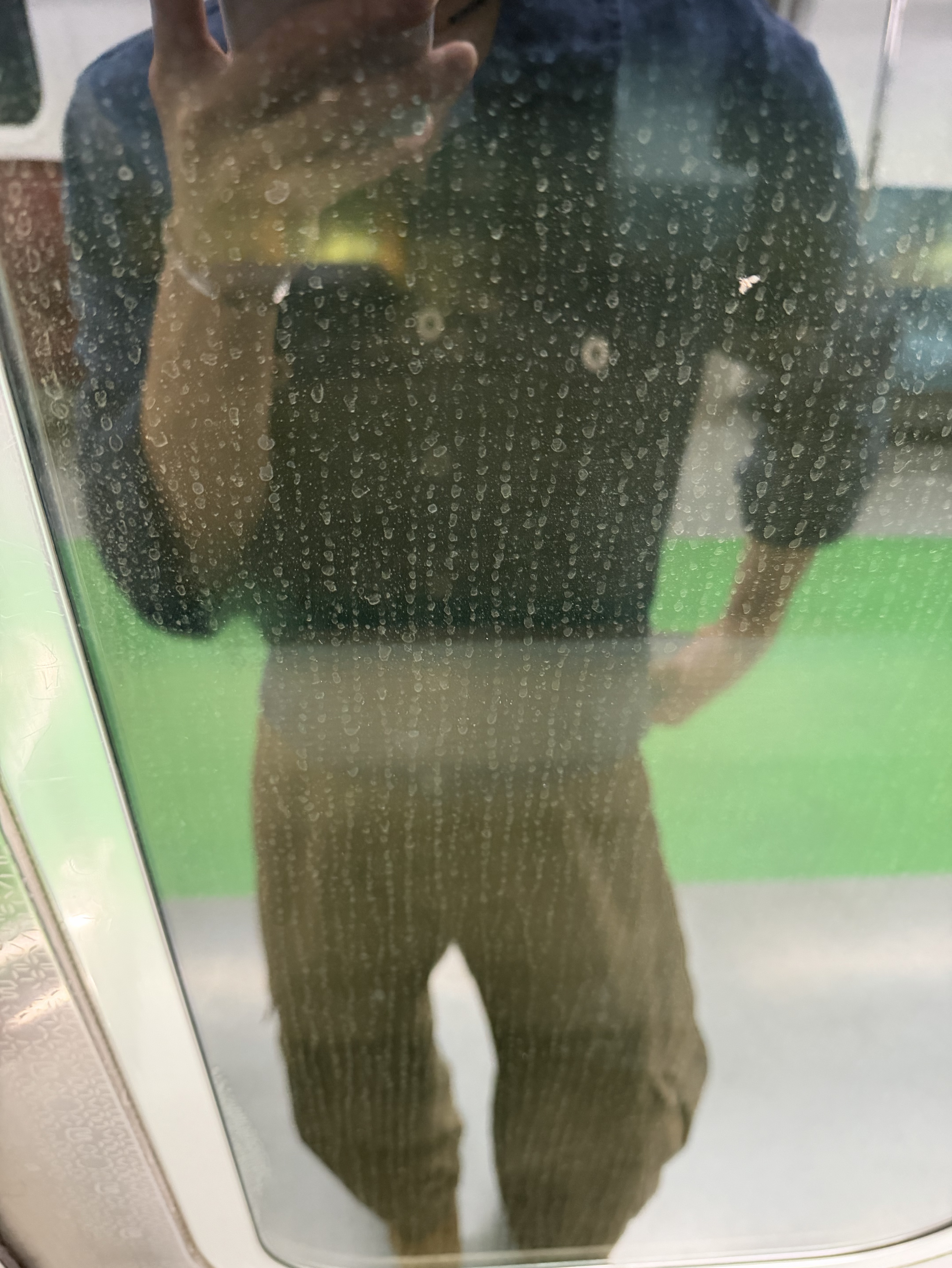 멘헤라정신병