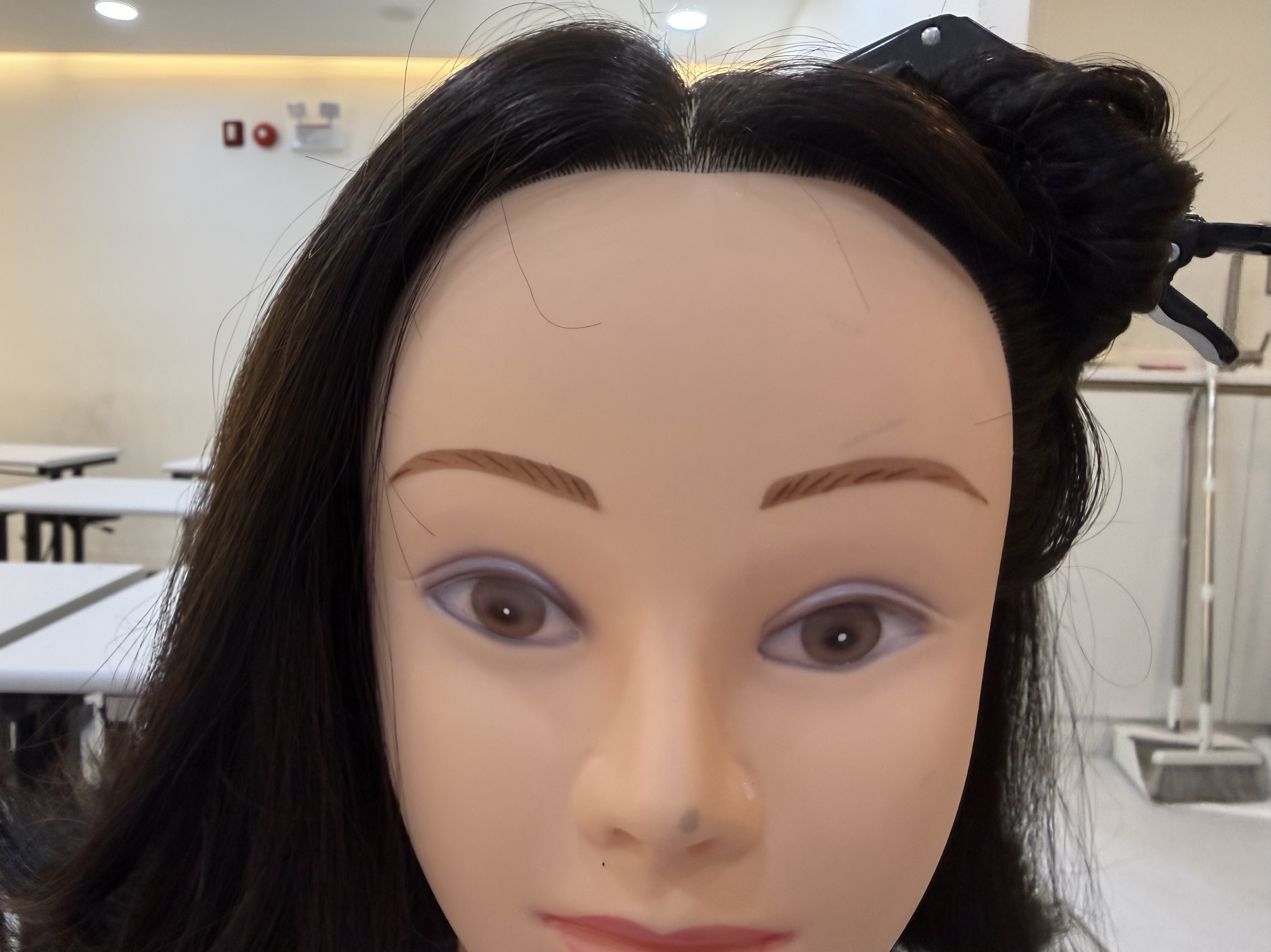 멘헤라정신병