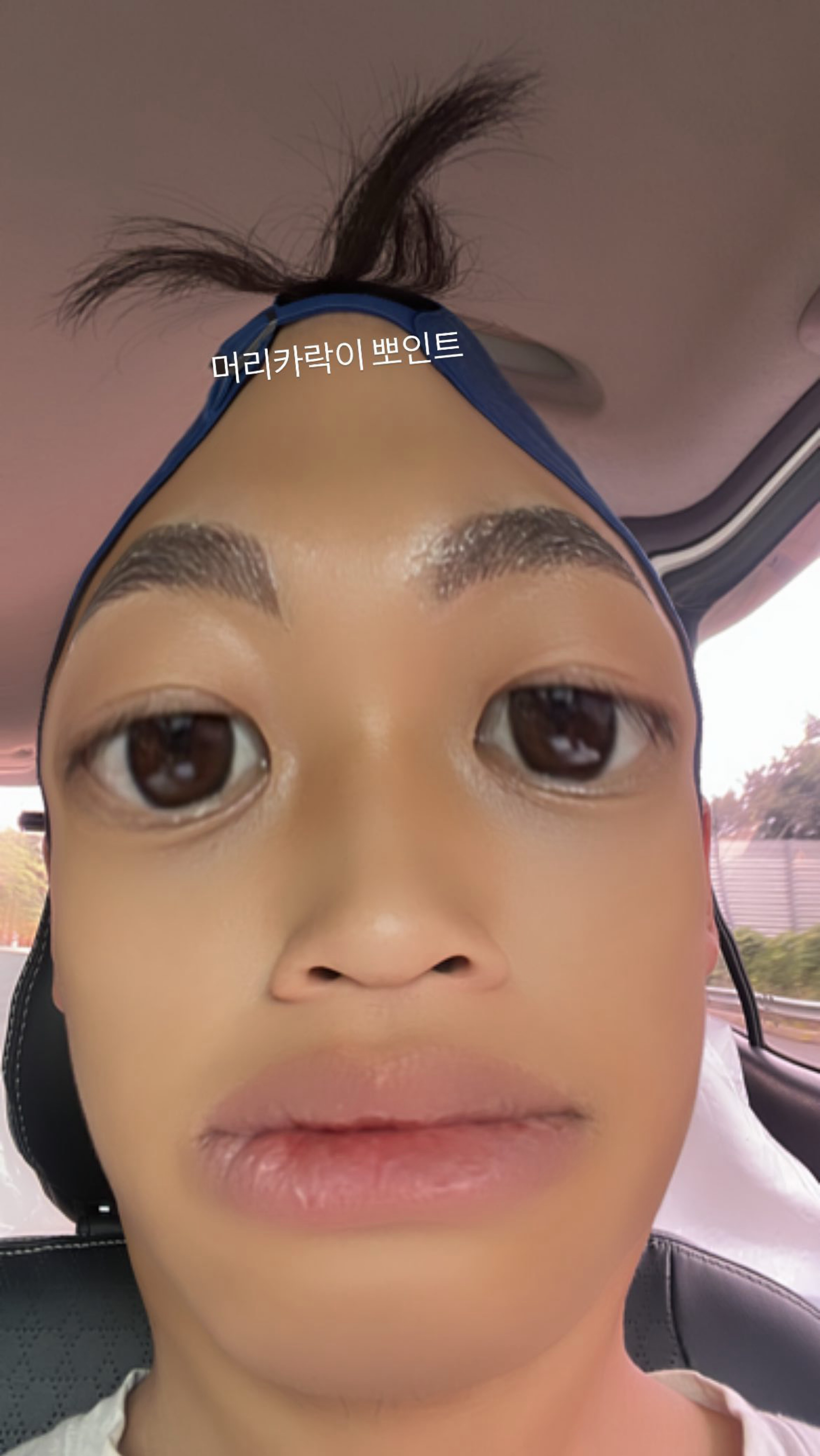 멘헤라정신병
