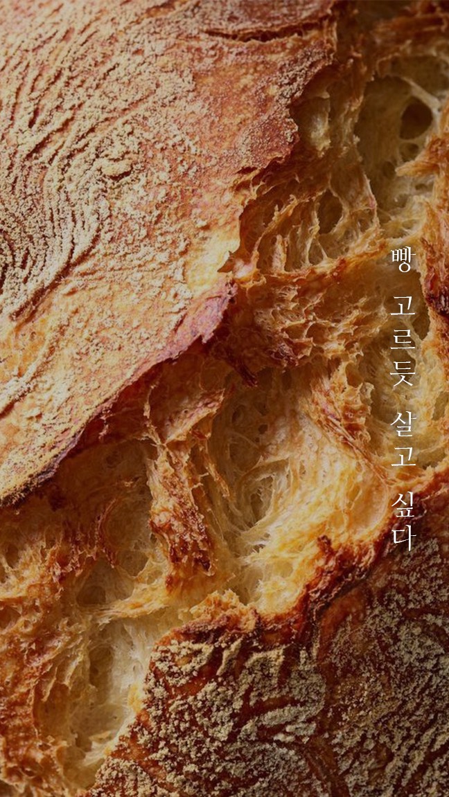 묘운☁️°⊹ 뜻밖의 서점📖