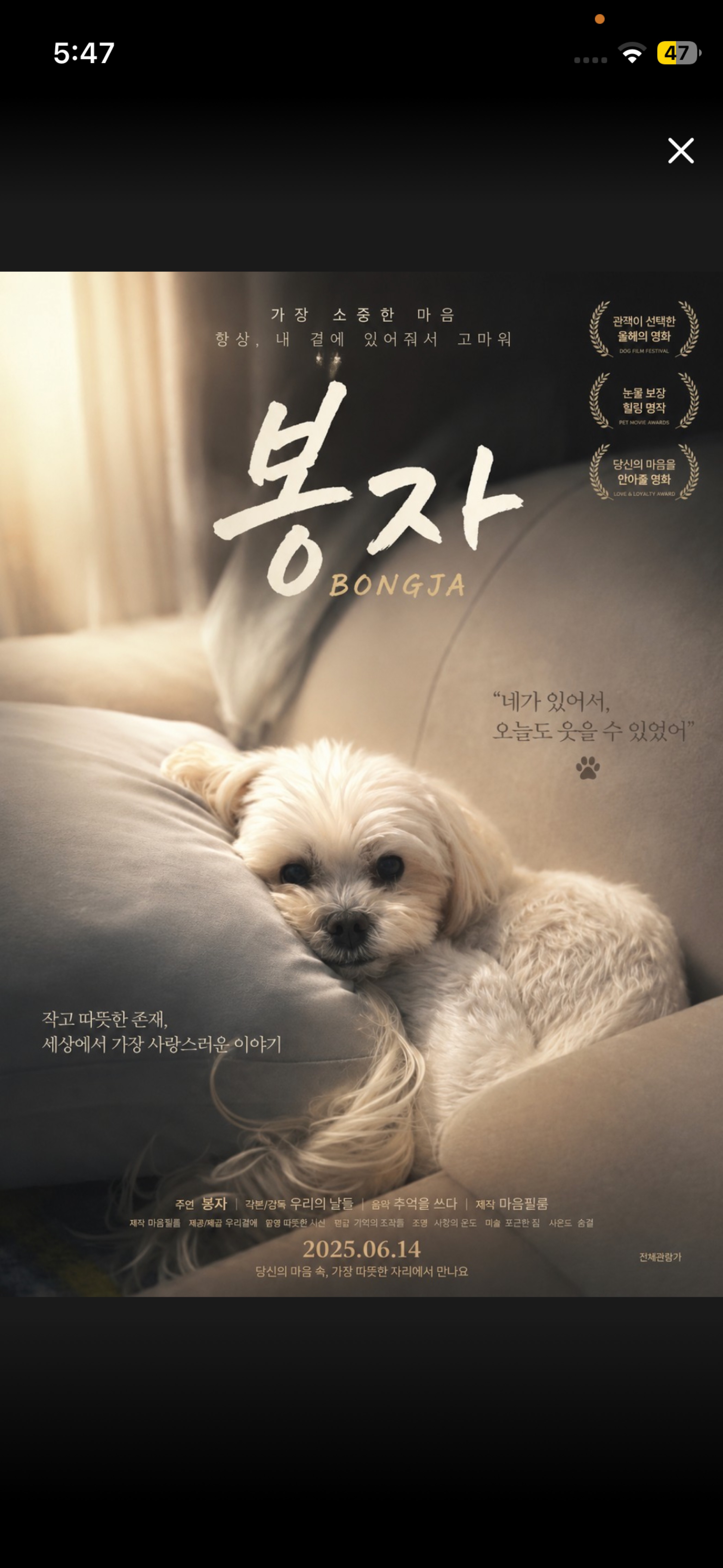 💕담좌 4시 소개팅 익명 💕