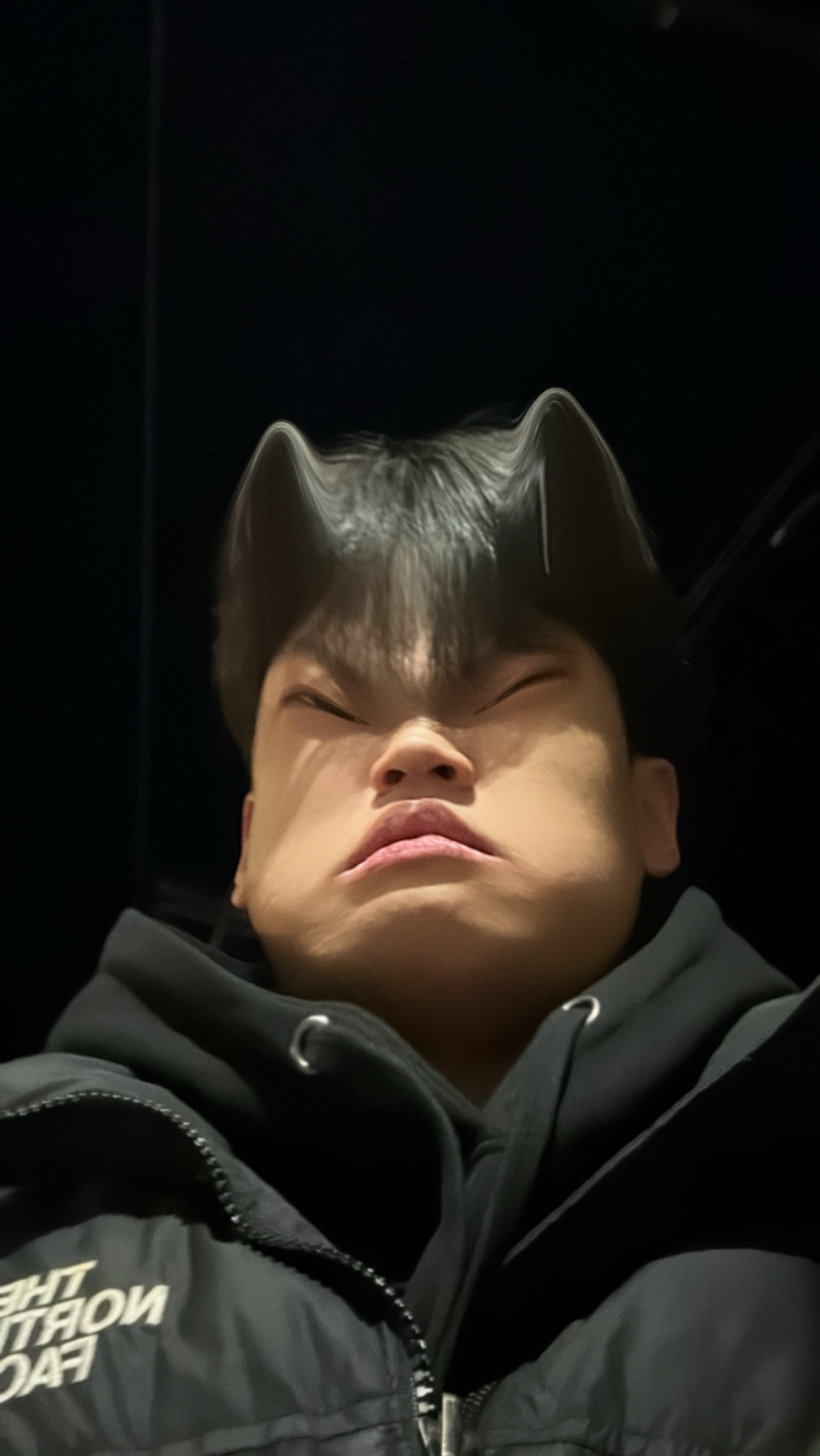 멘헤라정신병