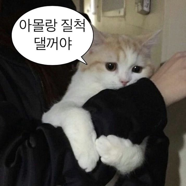돈주세요 감사합니다.