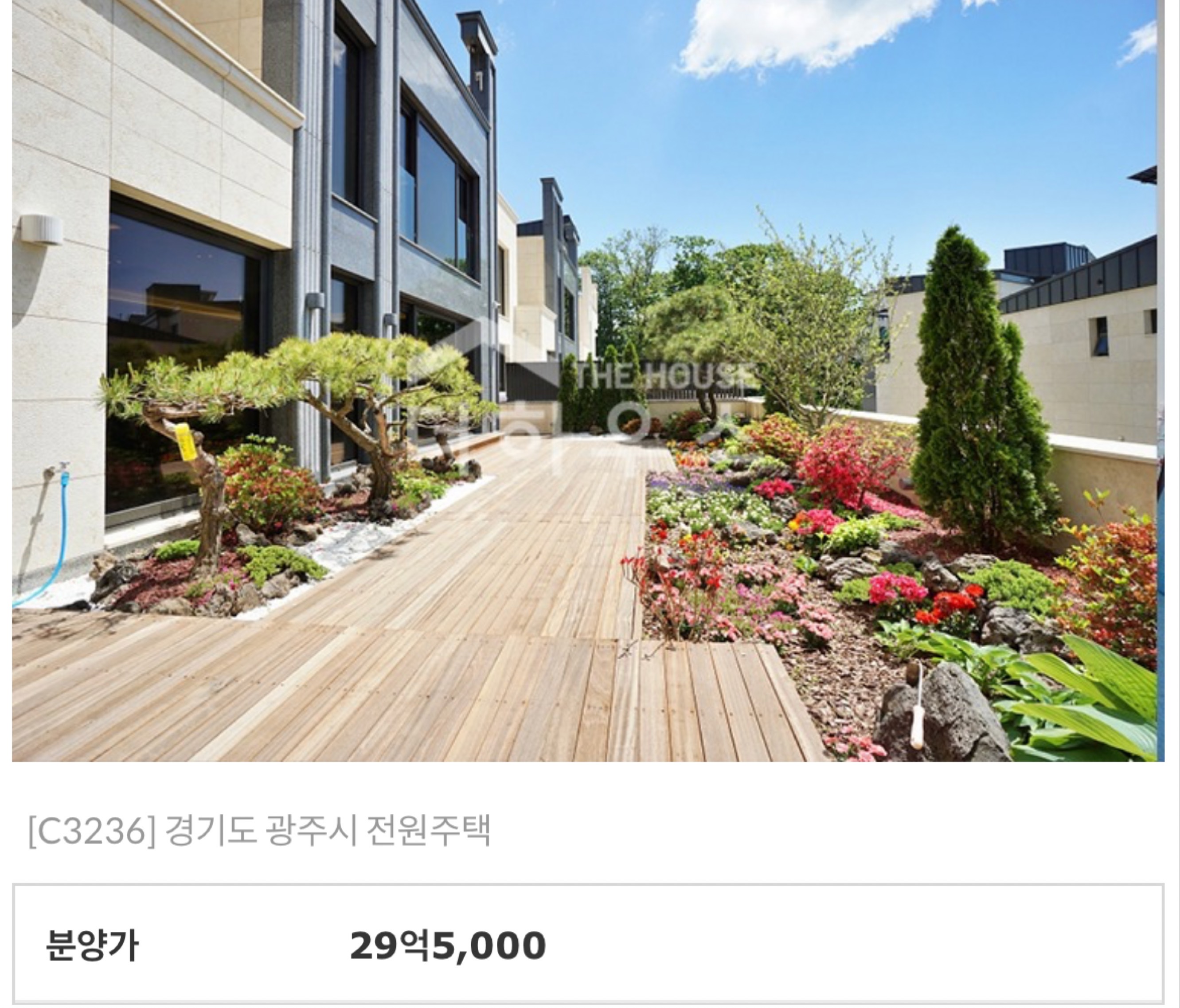 드루와 지으니씨