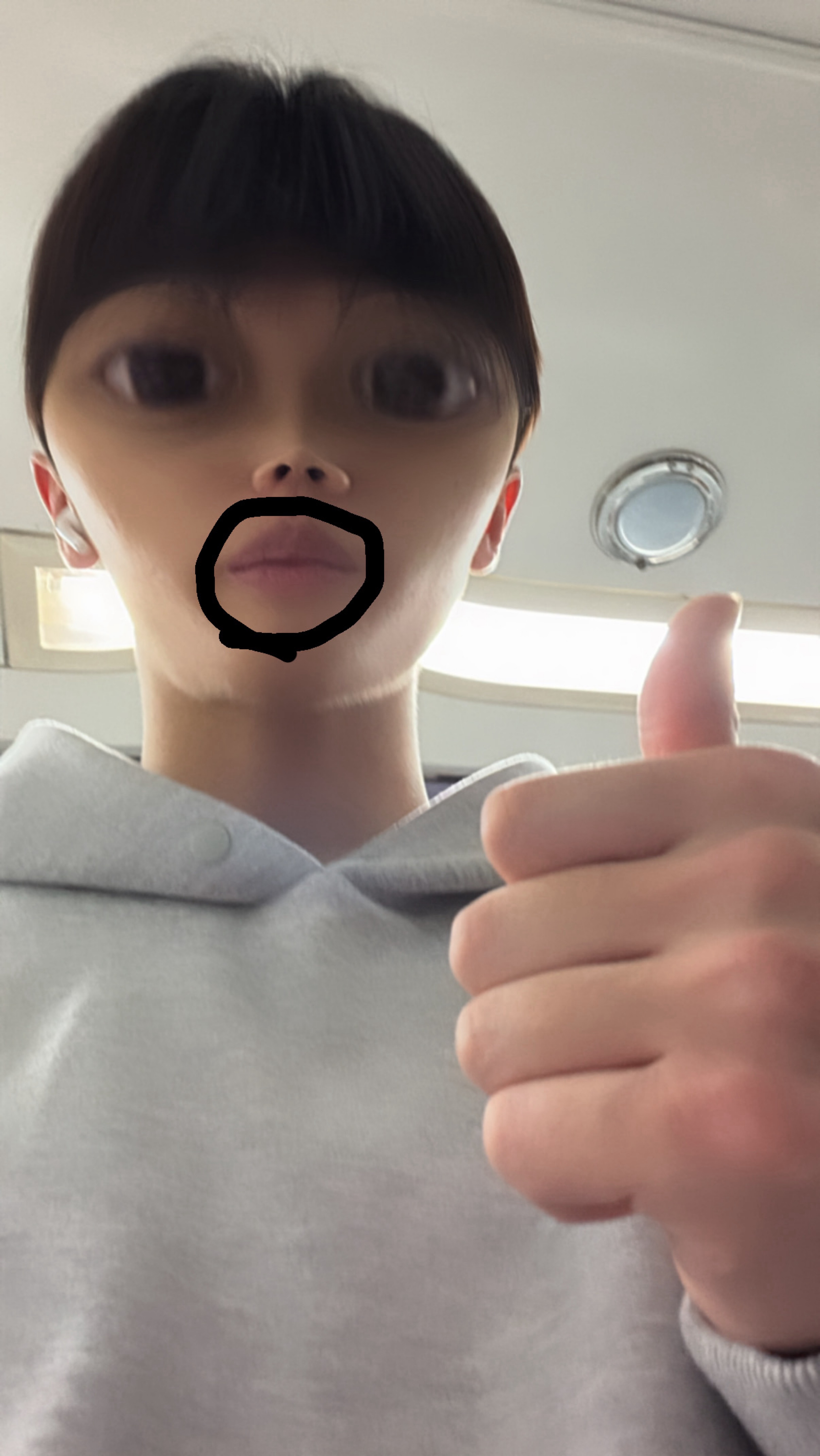 멘헤라정신병