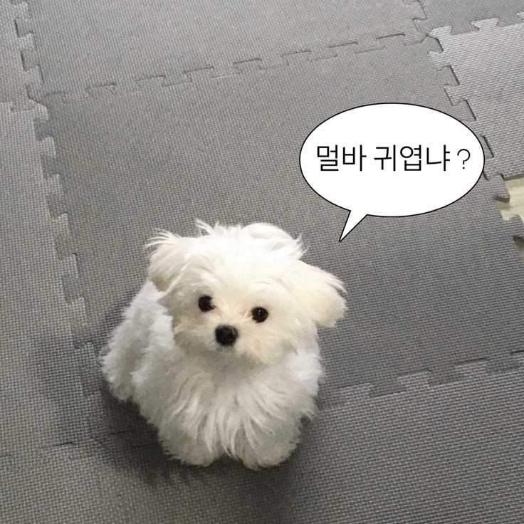 여유 있어?