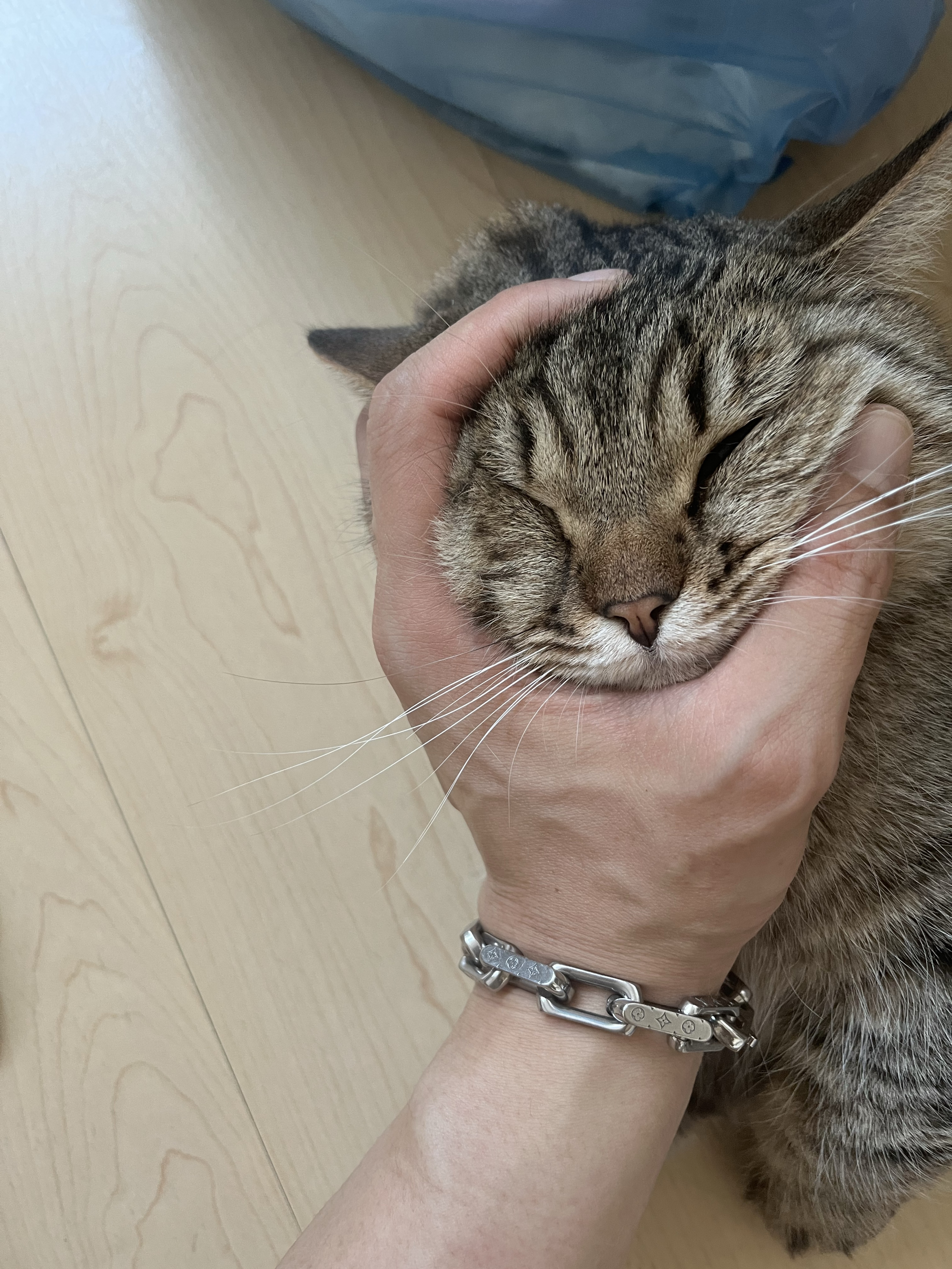 야 외 라 이 부