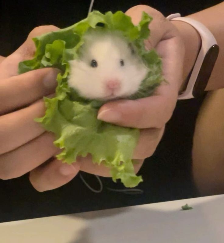 여유 있어?