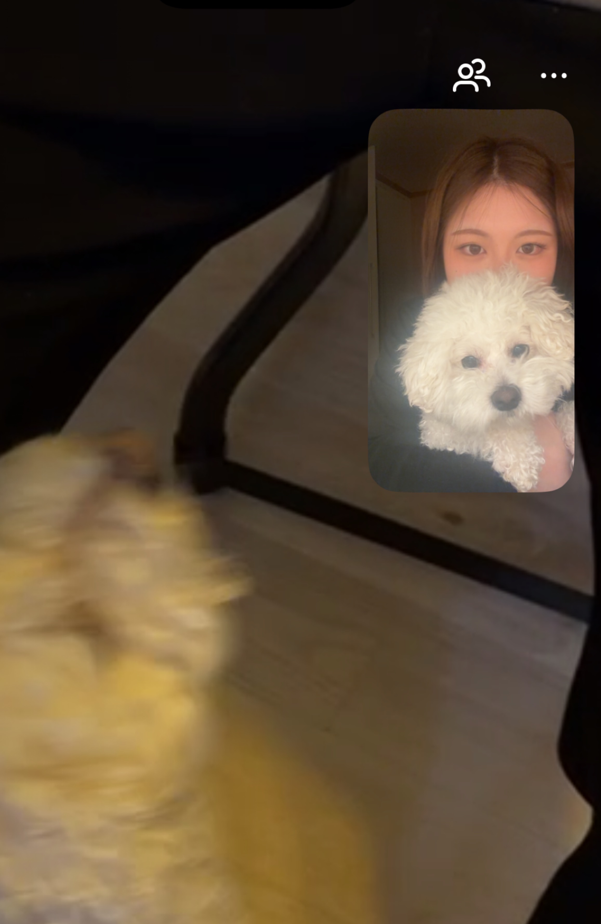 완전한 양지