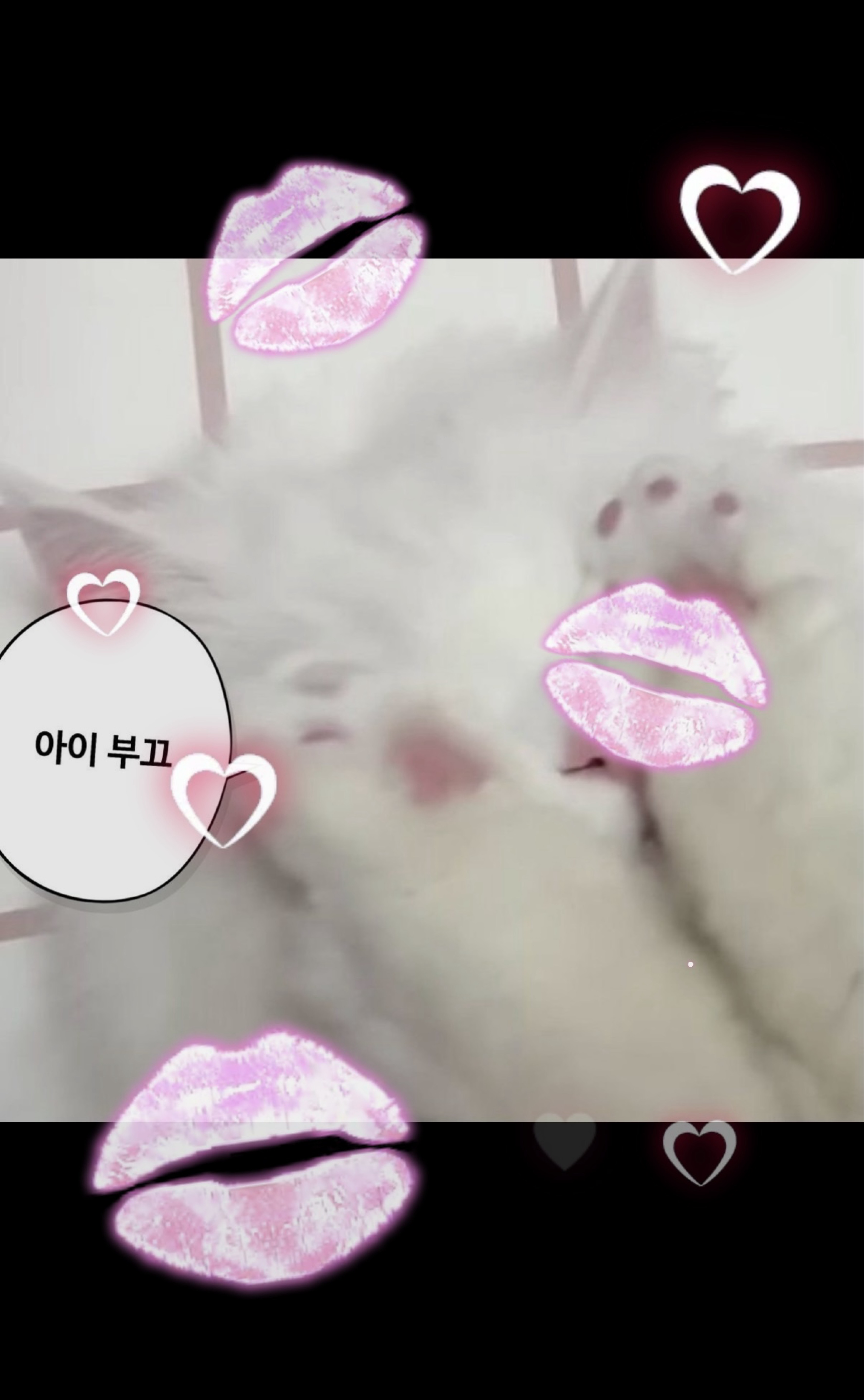 사랑해