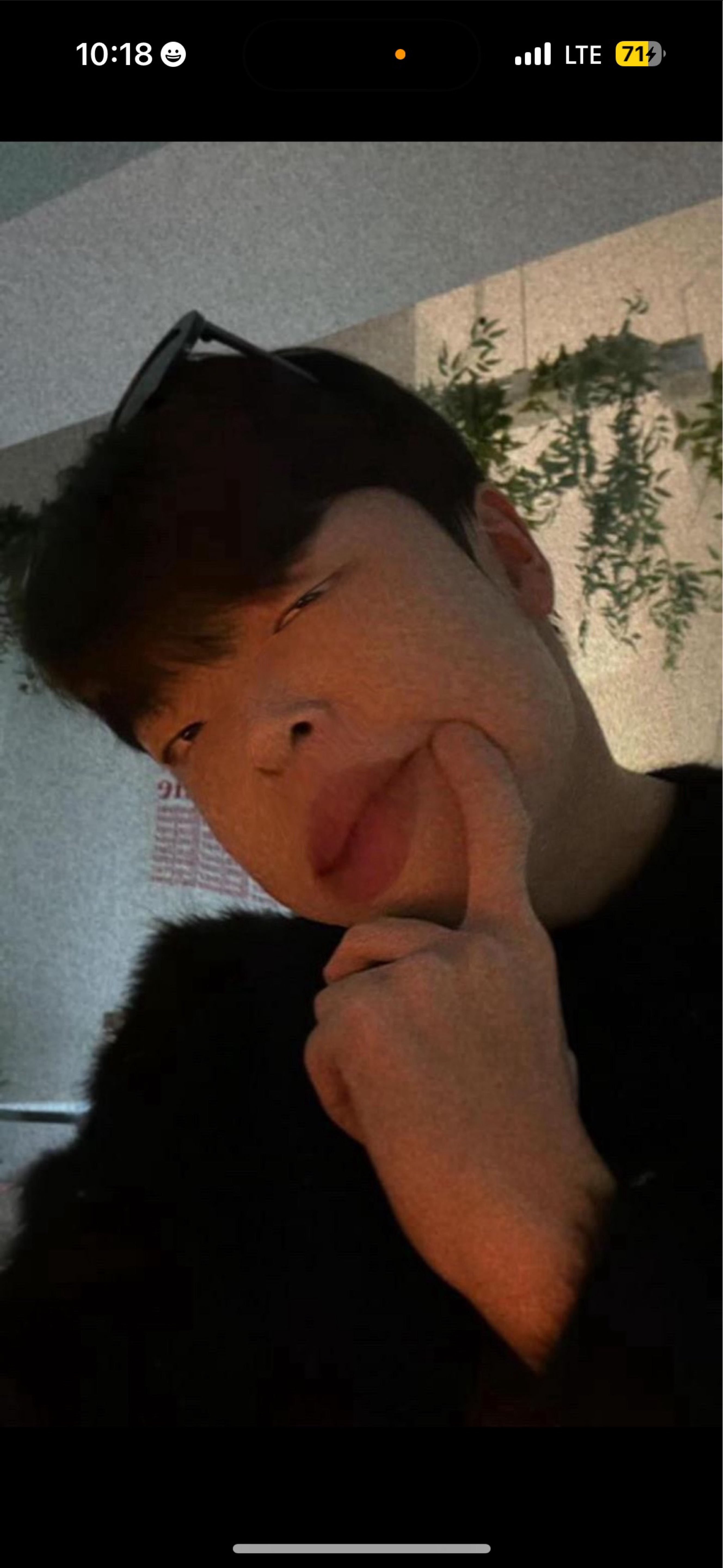 정신병멘헤라