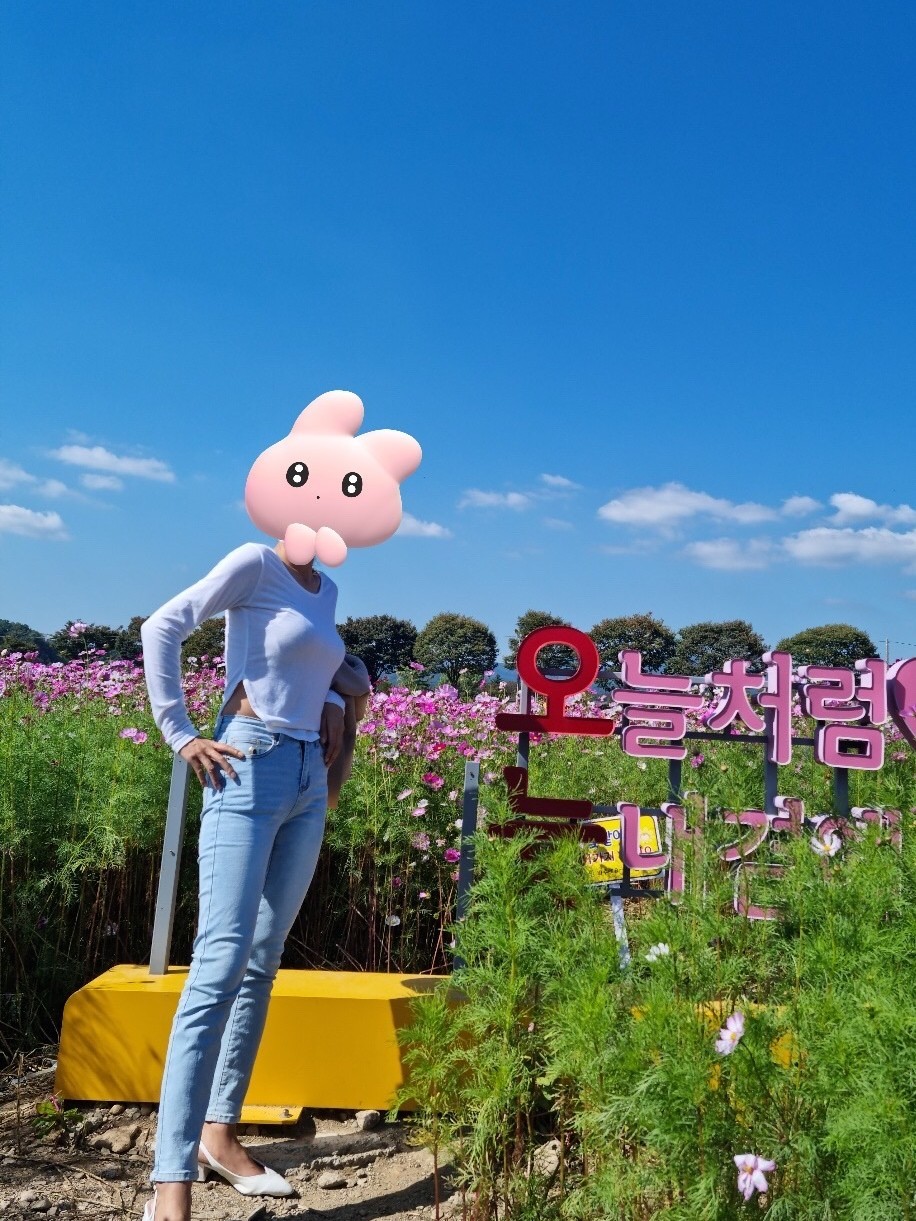 보고싶다