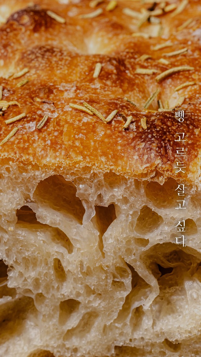 묘운☁️°⊹ 뜻밖의 서점📖