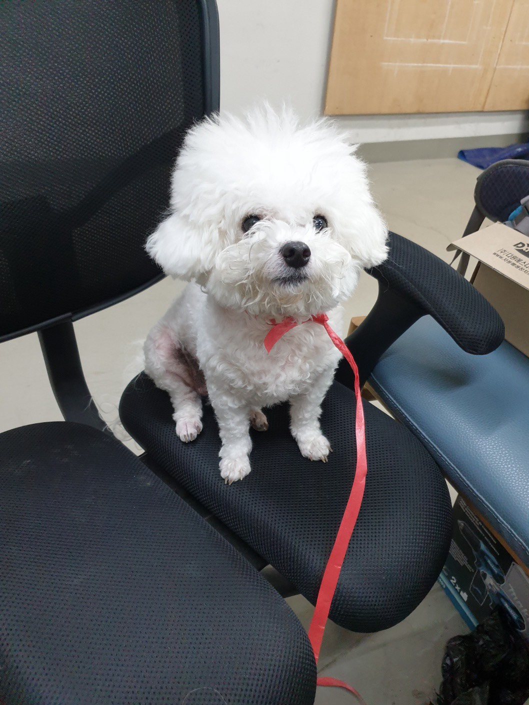라콜방