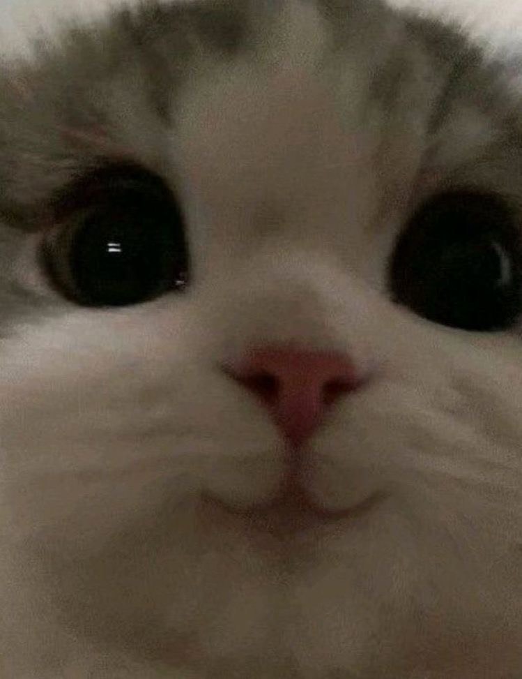 ㅇ.ㅇ