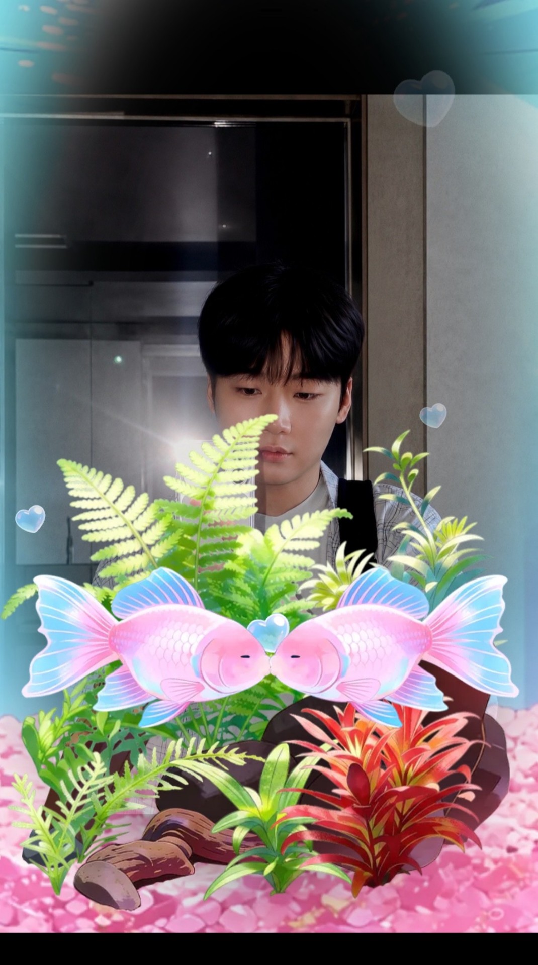 하꼬는 유입을 찾습니다