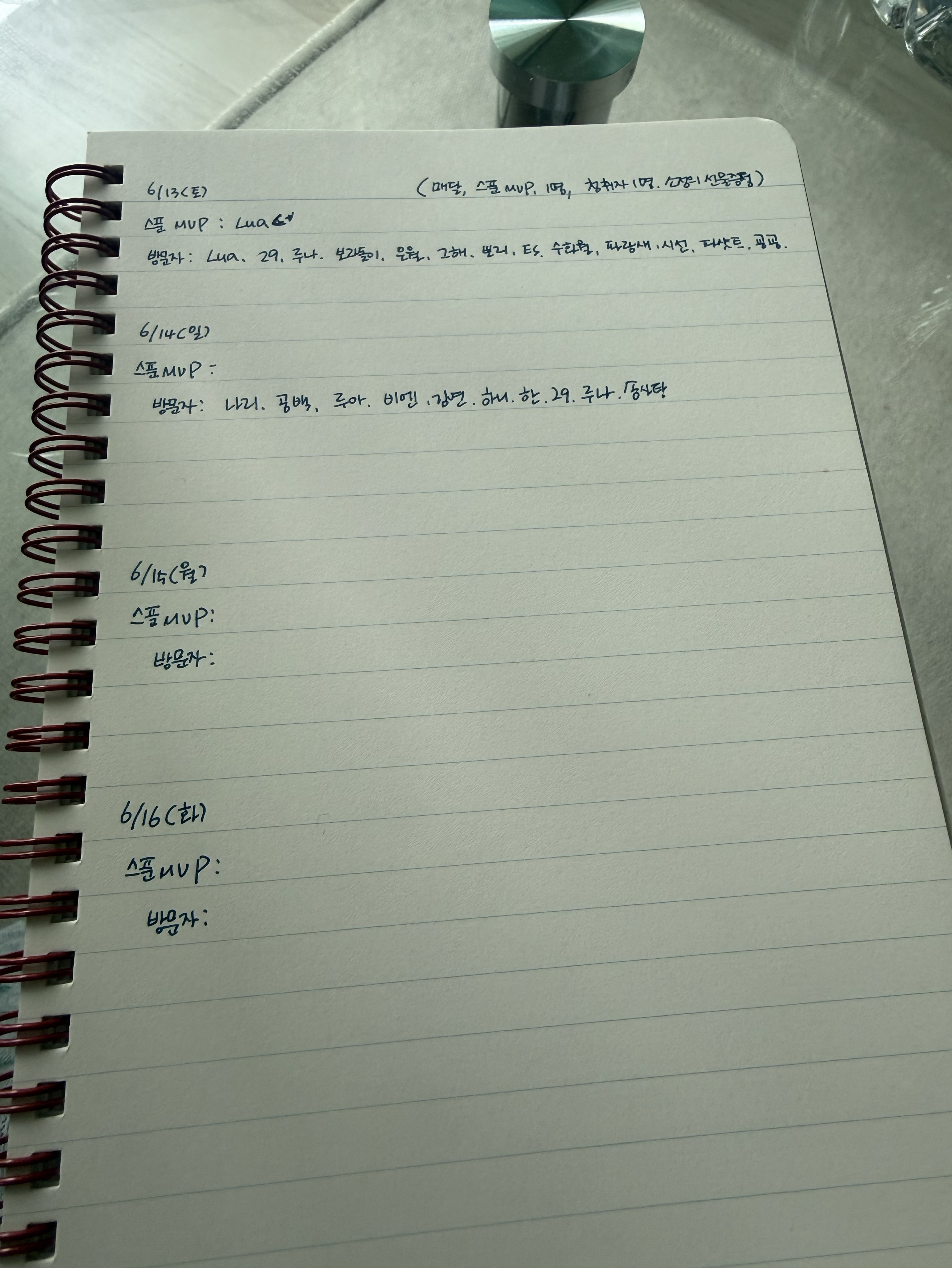  🩷 심심한 주말, 레나랑 놀자
