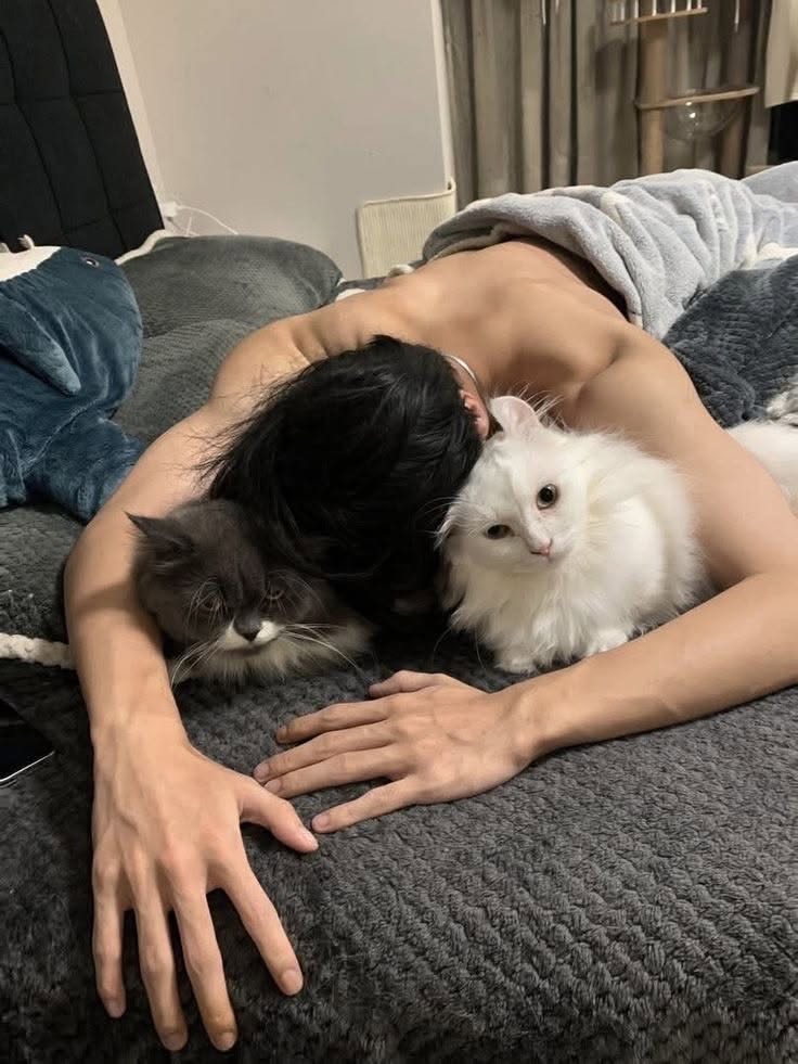 사이버 소개팅방