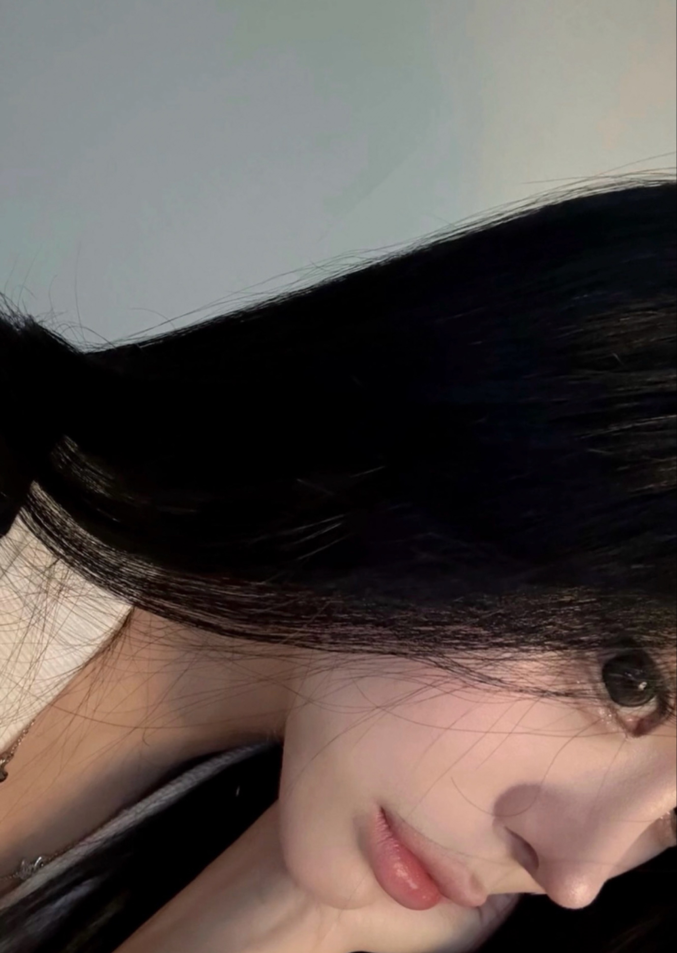 라이부콜