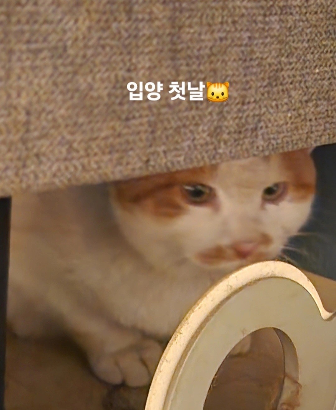 짧방 [ 🫧 ]