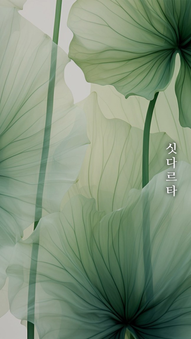묘운☁️°⊹ 뜻밖의 서점📖
