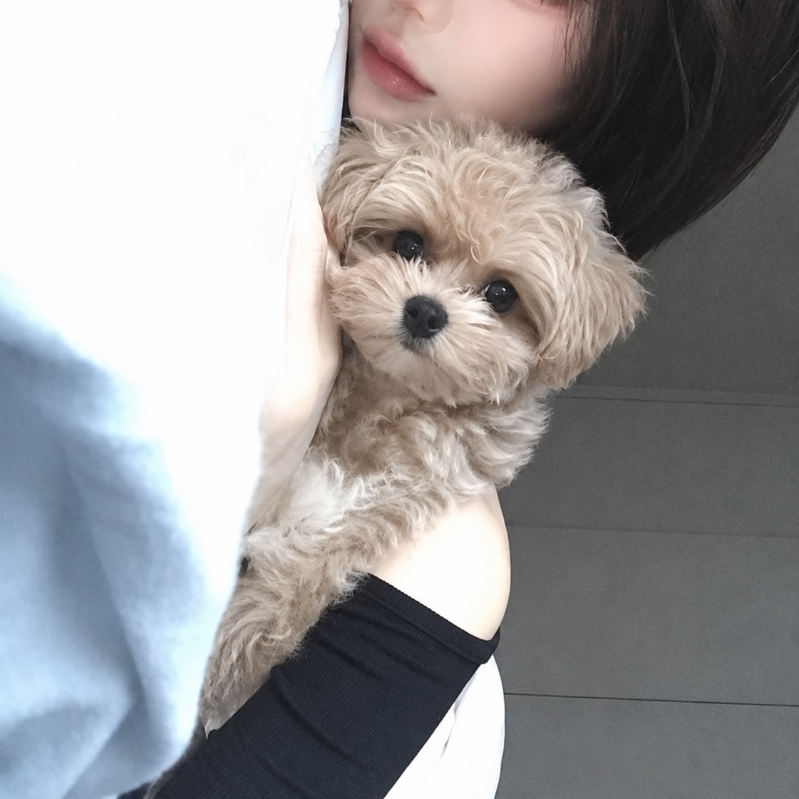 날 좋아해줘요
