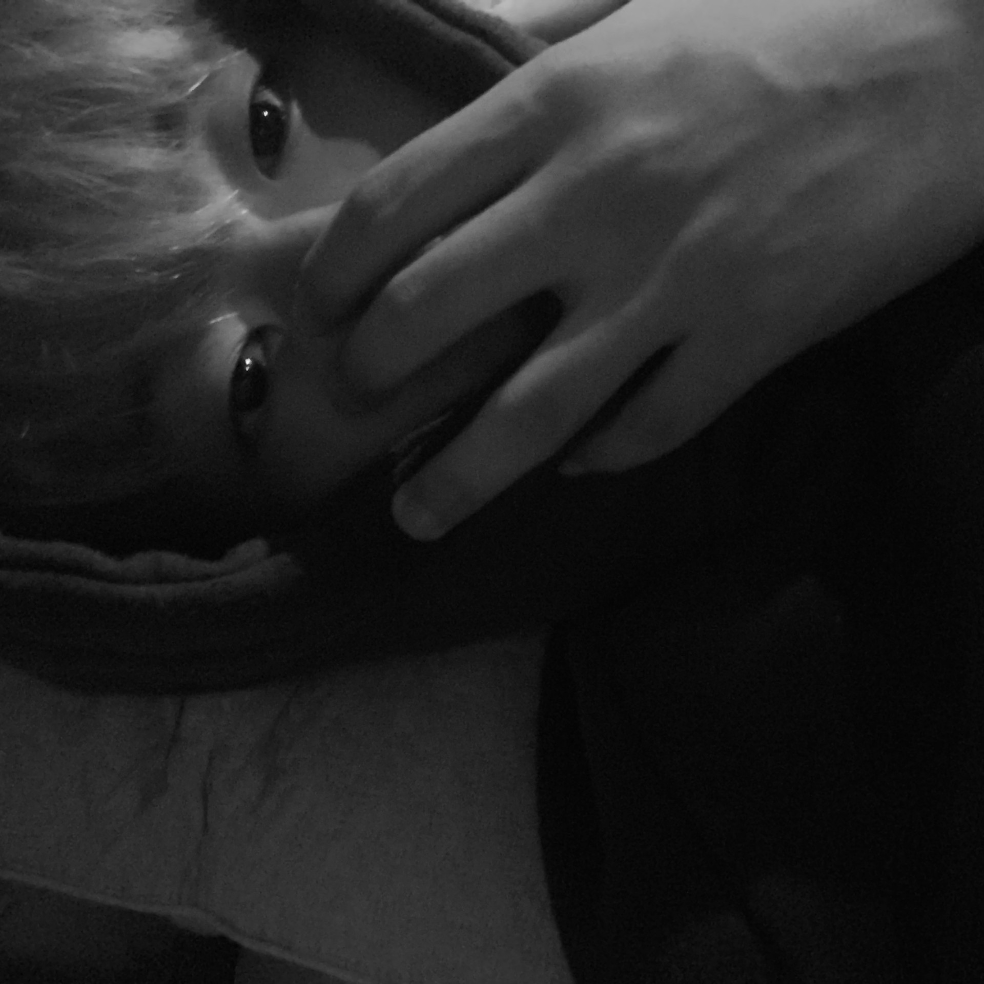 늘 행복 하세요 ,