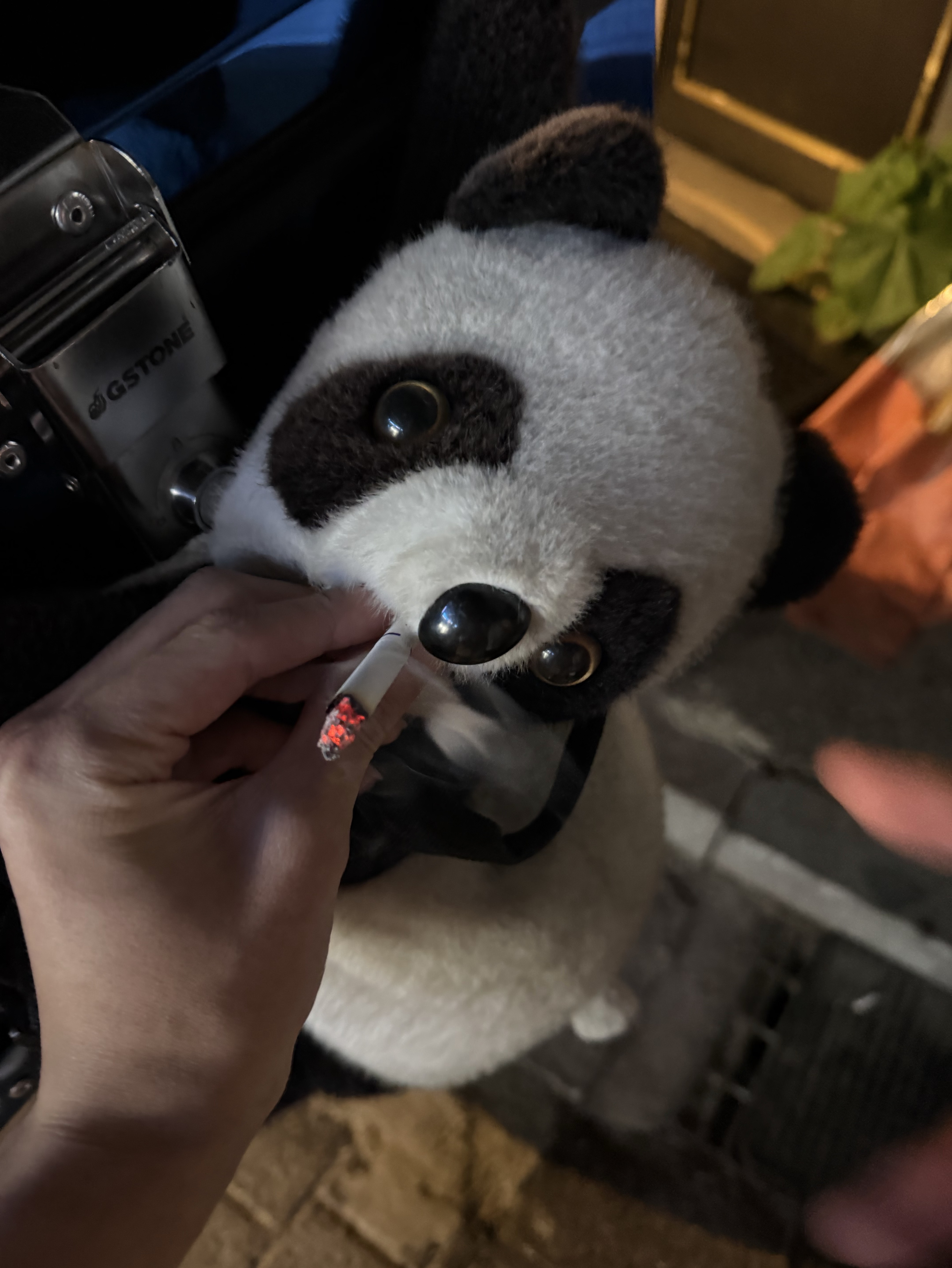 정신병멘헤라
