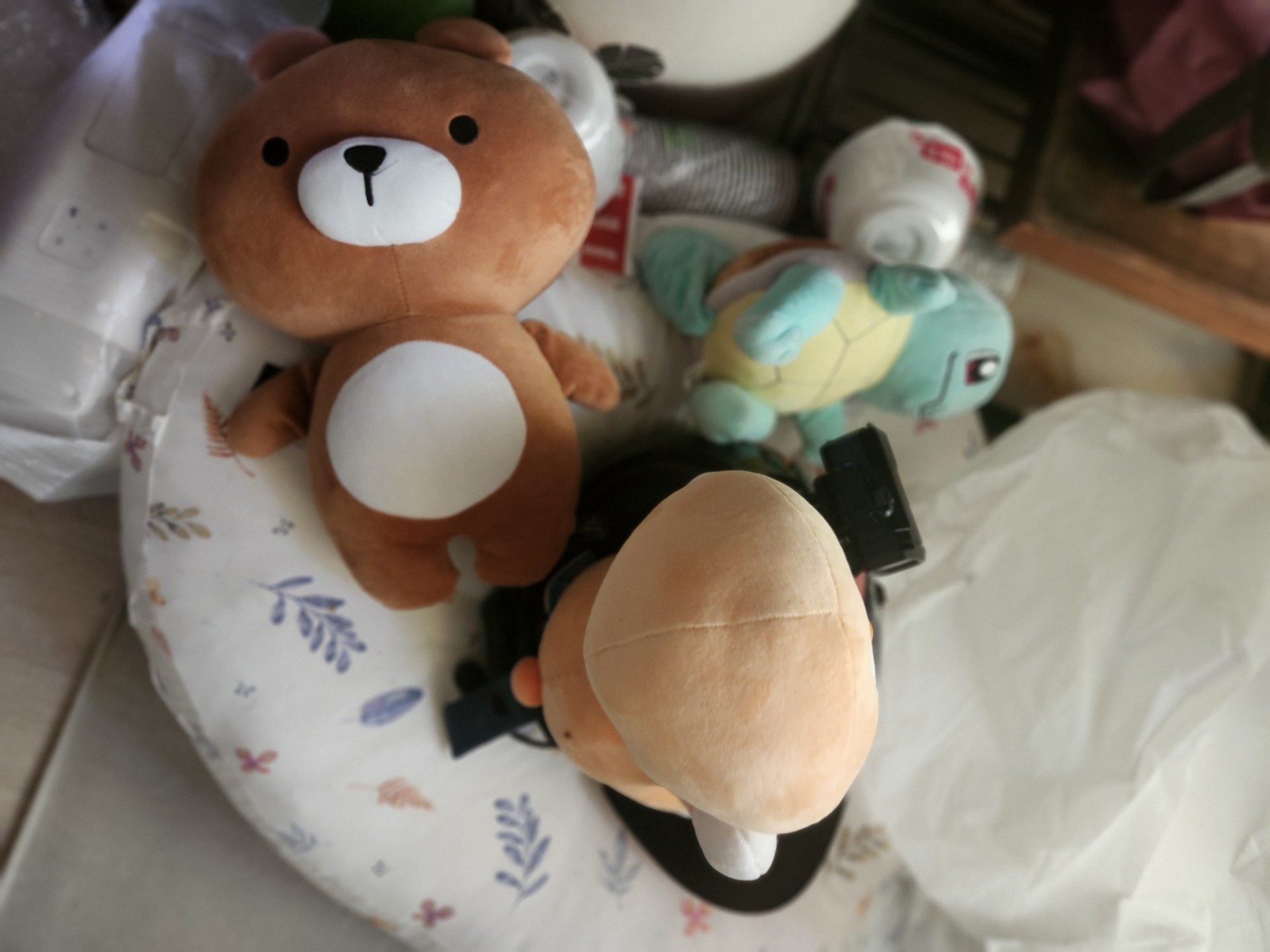 방송권 [ 🫧 ]