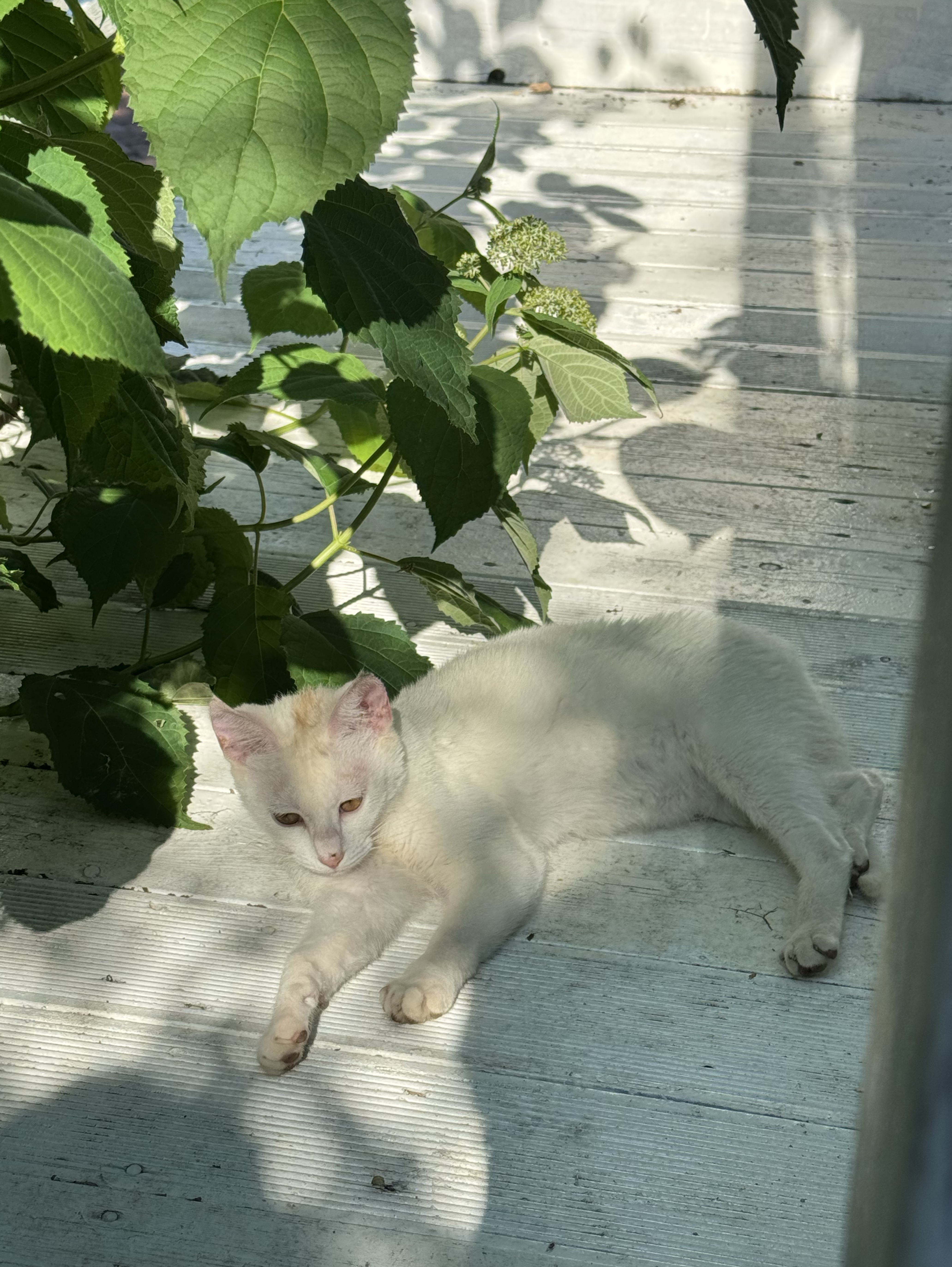 안녕하세요